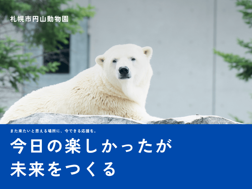北海道札幌市 札幌市円山動物園「ぺいふる」導入開始!ふるさと納税で動物たちを応援しよう!